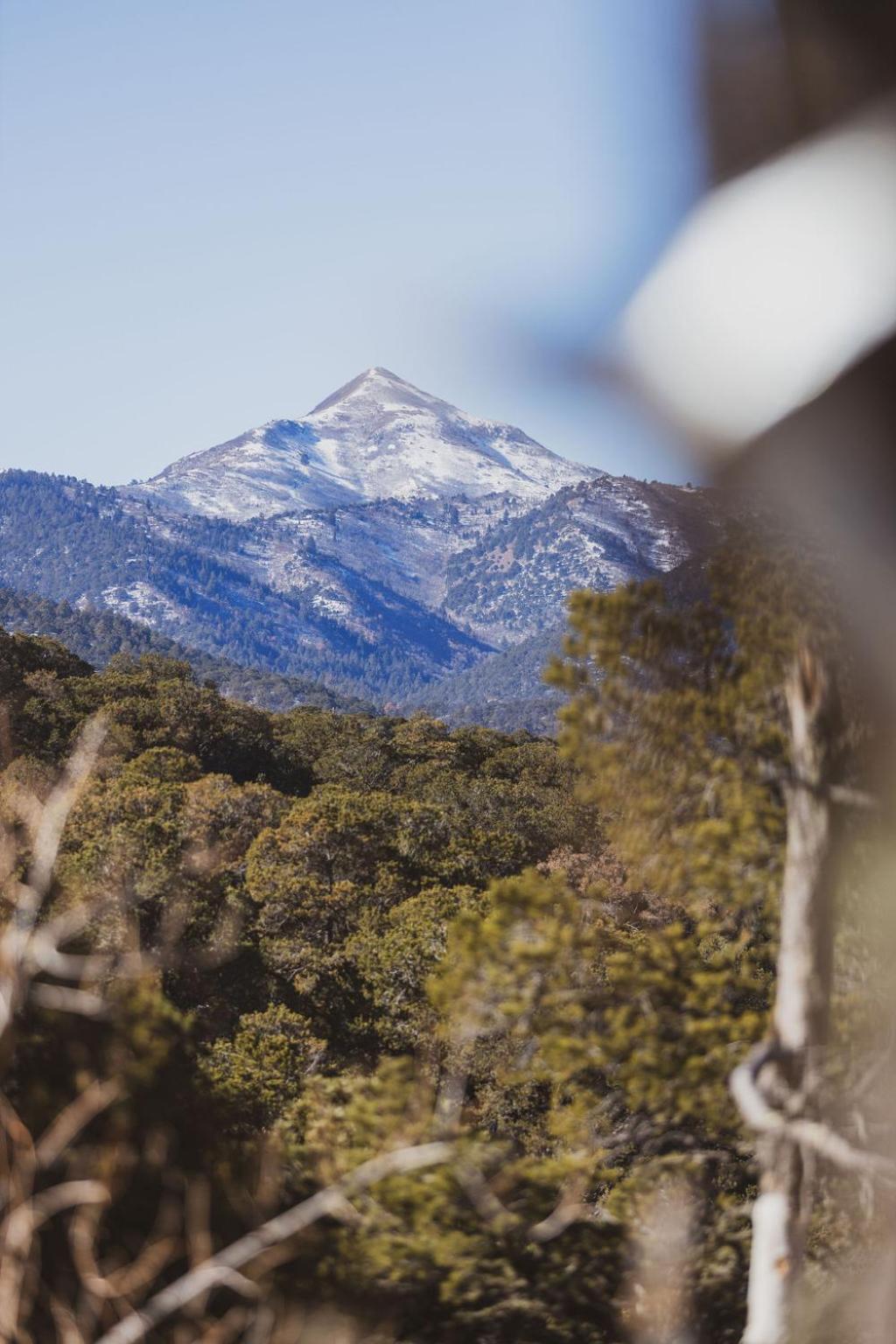 Zia Geo Dome At El Mistico Ranch, Glamping Βίλα Nogal Εξωτερικό φωτογραφία